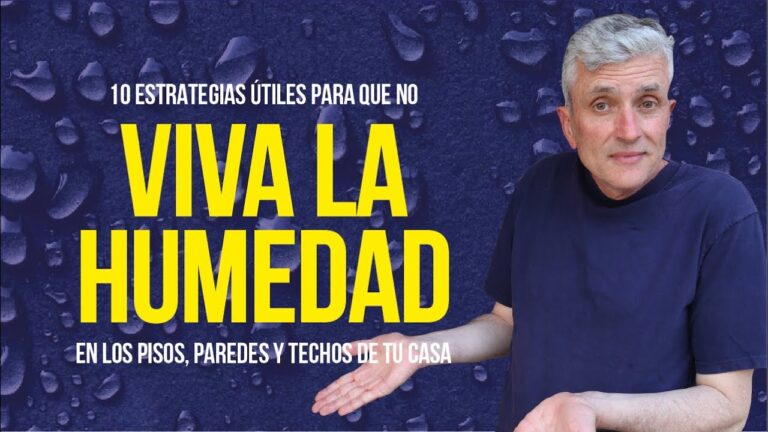 Denunciar a mi casero por humedades: ¿Qué hacer?