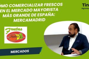 El Mercado de Alimentos Frescos en Madrid: Un Paseo Gastronómico Imperdible