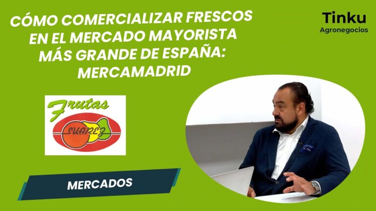 El Mercado de Alimentos Frescos en Madrid: Un Paseo Gastronómico Imperdible