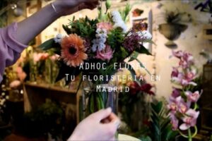 La mejor floristería en Madrid: Belleza floral a tu alcance