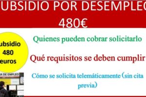 Solicitud de ayuda por desempleo en Madrid: Cómo obtenerla de manera eficiente