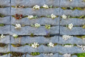 El Jardín Doméstico Perfecto en Madrid