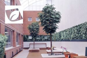 Proveedor de Plantas Artificiales en Madrid: Variedad y Calidad a su Alcance